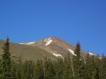 Reaching the treeline on Elbert.jpg